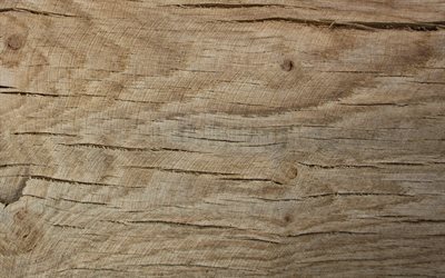 oak texture, light wooden texture, light oak background, wooden backgrounds