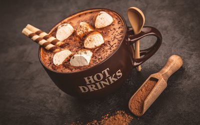 Cioccolata calda, dolci, coppa, marshmallow, cioccolato, spezie, bevande calde