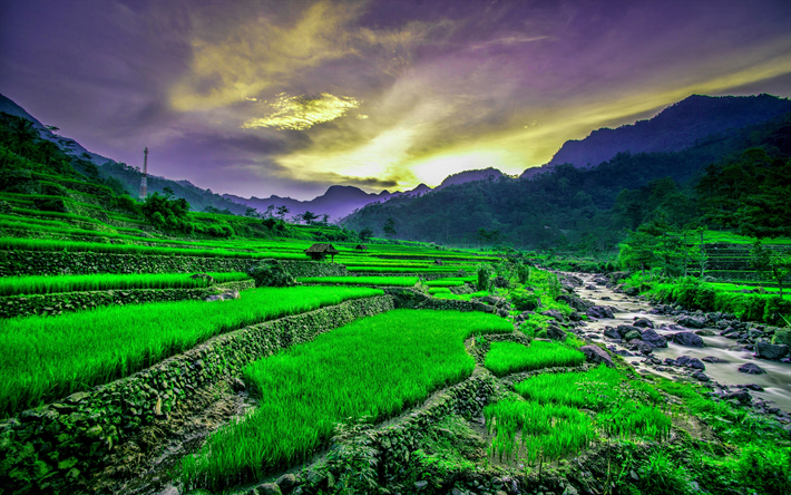 Vietnam, rice fields, river, sunset, mountains, beautiful nature, Asia, HDR