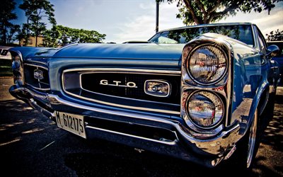 Pontiac GTO, retro cars, 1967 coches, coches del m&#250;sculo, estudio, 1967 Pontiac GTO, coches americanos, Pontiac