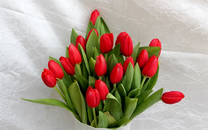 الزنبق الأحمر, باقة جميلة, زهور الربيع, الزنبق, باقة من الزهور الحمراء, الربيع باقة