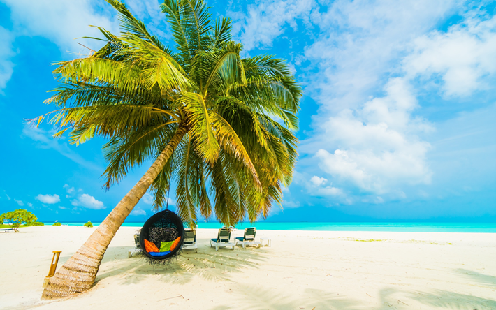 tropical island, beach, round armchair on palm tree, sand, evening, ocean, coast, summer travel, palm tree