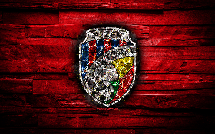 Viktoria Plzen FC, polttava logo, Tšekki Ensin Liigan, punainen puinen tausta, tšekin football club, FC Viktoria Plzen, grunge, jalkapallo, Viktoria Plzen-logo, Tšekin Tasavalta