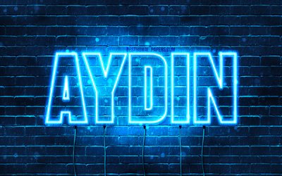 Aydin, 4k, sfondi per il desktop con i nomi, il testo orizzontale, Aydin nome, Felice Compleanno Aydin, neon blu, immagine con nome Aydin