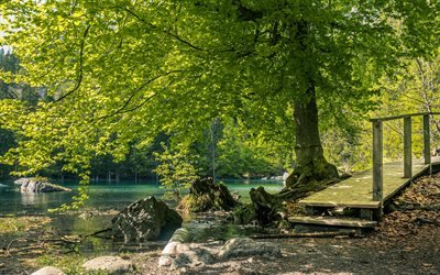 Lago Verde, Green Lake, lago de monta&#241;a, la hermosa naturaleza, el lago esmeralda, Francia