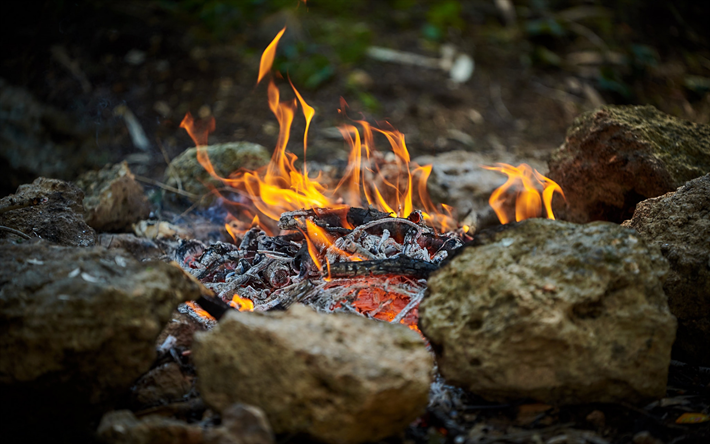 かがり火, 炎, 火, 森林, 燃えるかがり火, 石