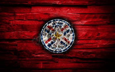 Paraguay, burning logo, Conmebol, red wooden background, grunge, South America National Teams, football, Paraguayan soccer team, soccer, Paraguay national football team