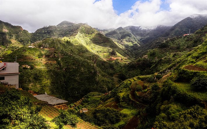 Tenerife, 4k, vuoret, Kanariansaaret, kes&#228;ll&#228;, Espanja, kaunis luonto, Euroopassa