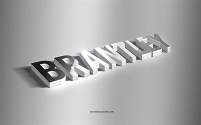 Brantley, silver 3d art, gray background, wallpapers with names, Brantley name, Brantley greeting card, 3d art, picture with Brantley name