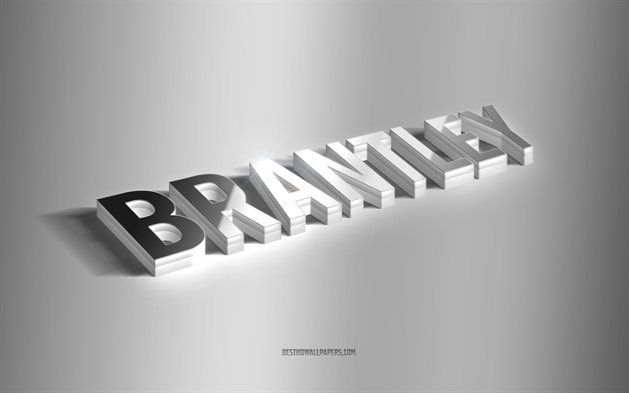 برانتلي, فن 3d الفضة, خلفية رمادية, خلفيات بأسماء, اسم برانتلي, بطاقة معايدة برانتلي, عد أرت, الصورة مع اسم برانتلي