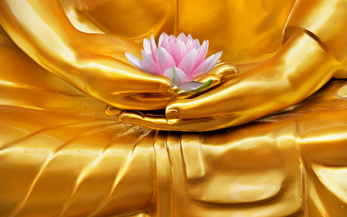 golden Buddha statue, lotus in hands, Gautama Buddha, Buddhism, golden statue, pink lotus