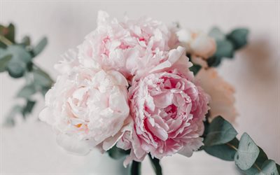 peonie rosa, bouquet di peonie, bellissimo bouquet rosa, peonie, vintage, fiori rosa, sfondo con peonie