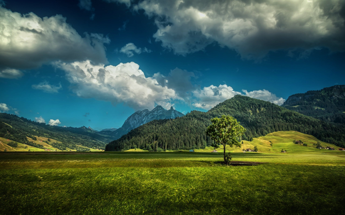Mountains, alps, summer, meadow, forest, Switzerland