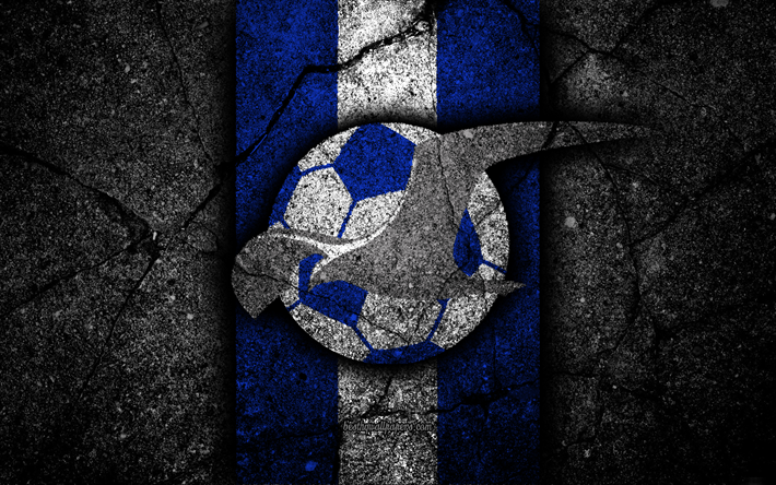 4k, Haugesund FC, emblema, Eliteserien, pietra nera, calcio, Norvegia, Haugesund, logo, asfalto texture, FC Haugesund