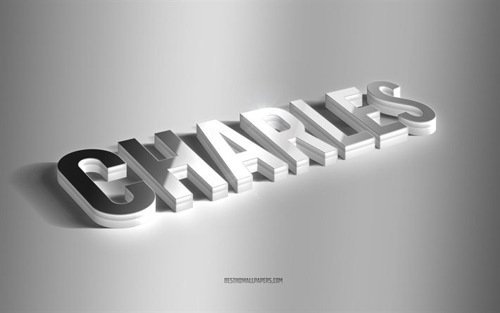 Charles, silver 3d art, gray background, wallpapers with names, Charles name, Charles greeting card, 3d art, picture with Charles name