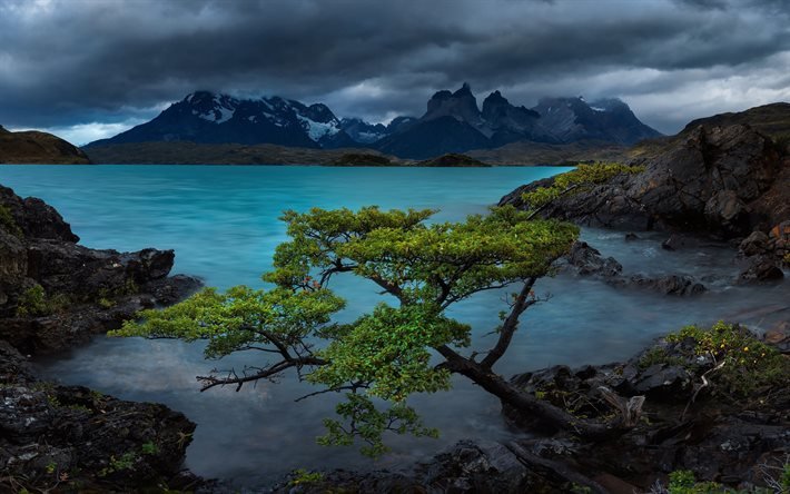 Lake Pehoe, Andes Mountains, Patagonia, kv&#228;ll, solnedg&#229;ng, bergslandskap, Torres del Paine National Park, Chile, Cordillera Paine
