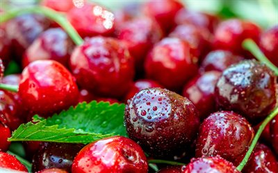 cherries, berries, fruits, ripe cherries, drops of water on berries
