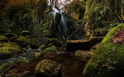 vattenfall, skogen, djungel, vackra vattenfall, Den Sallent, Catalonia, Spanien