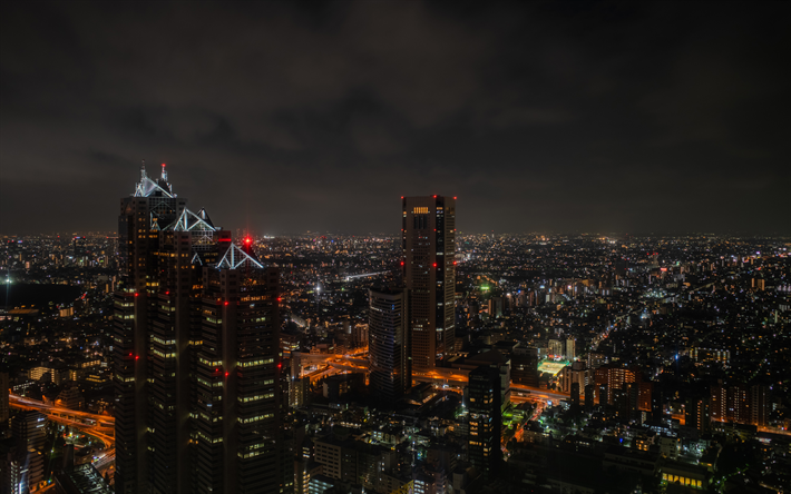 Tokyo, natt, japanska st&#228;der, moderna byggnader, Japan, Asien, Tokyo p&#229; natten
