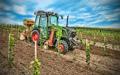 Fendt 210 VFP Vario, vineyards, 2020 tractors, HDR, agricultural machinery, tractor in the vineyard, agriculture, Fendt