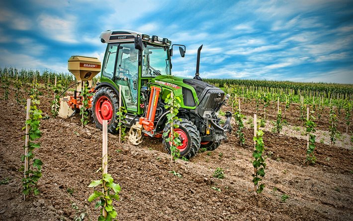 Fendt 210 VFP Vario, vineyards, 2020 tractors, HDR, agricultural machinery, tractor in the vineyard, agriculture, Fendt