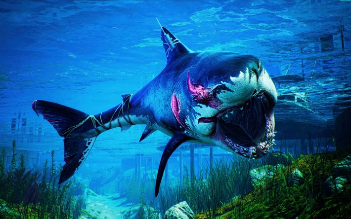 Great white shark, 4k, 3D art, monsters, underwater world, fish, wildlife, predatory fish, shark, predators, Carcharodon carcharias, sea
