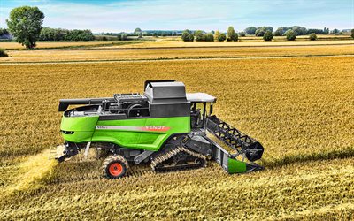 Fendt 6335 C, 4k, wheat harvesting, 2020 combines, EU-spec, combine, sunset, combine-harvester, agricultural machinery, Fendt