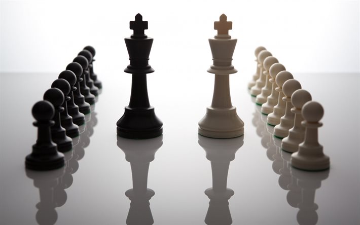قطع الشطرنج, الشطرنج المفاهيم, الخشب الشطرنج, ملوك و بيادق, الشطرنج
