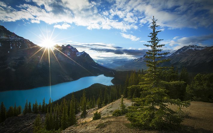 Peyto Lake, tramonto, montagne, Parco Nazionale di Banff, estate, foresta, Alberta, Canada
