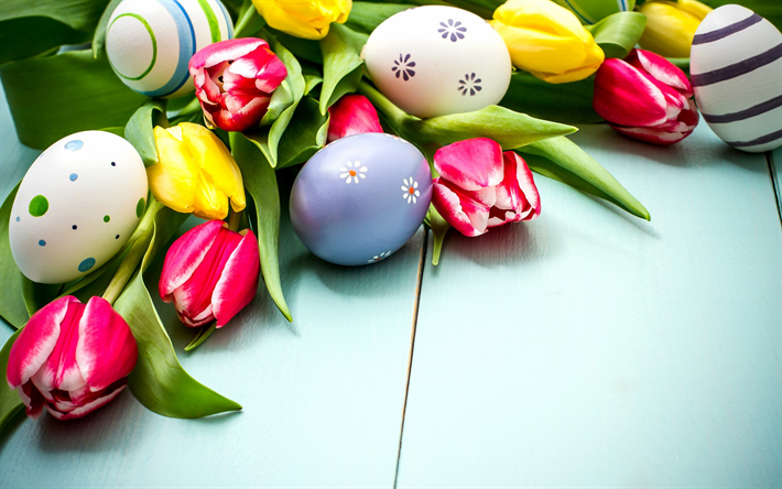 Felice, Pasqua, uova, rosa, tulipani, fiori di primavera, primavera