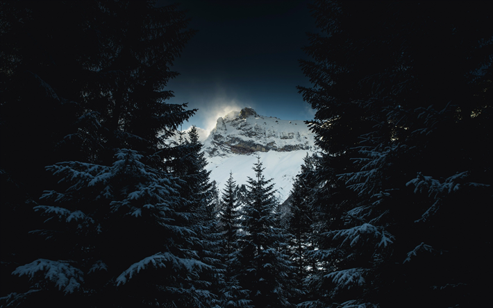 mountain landscape, snow-covered trees, winter, snow, mountains, forest, evening