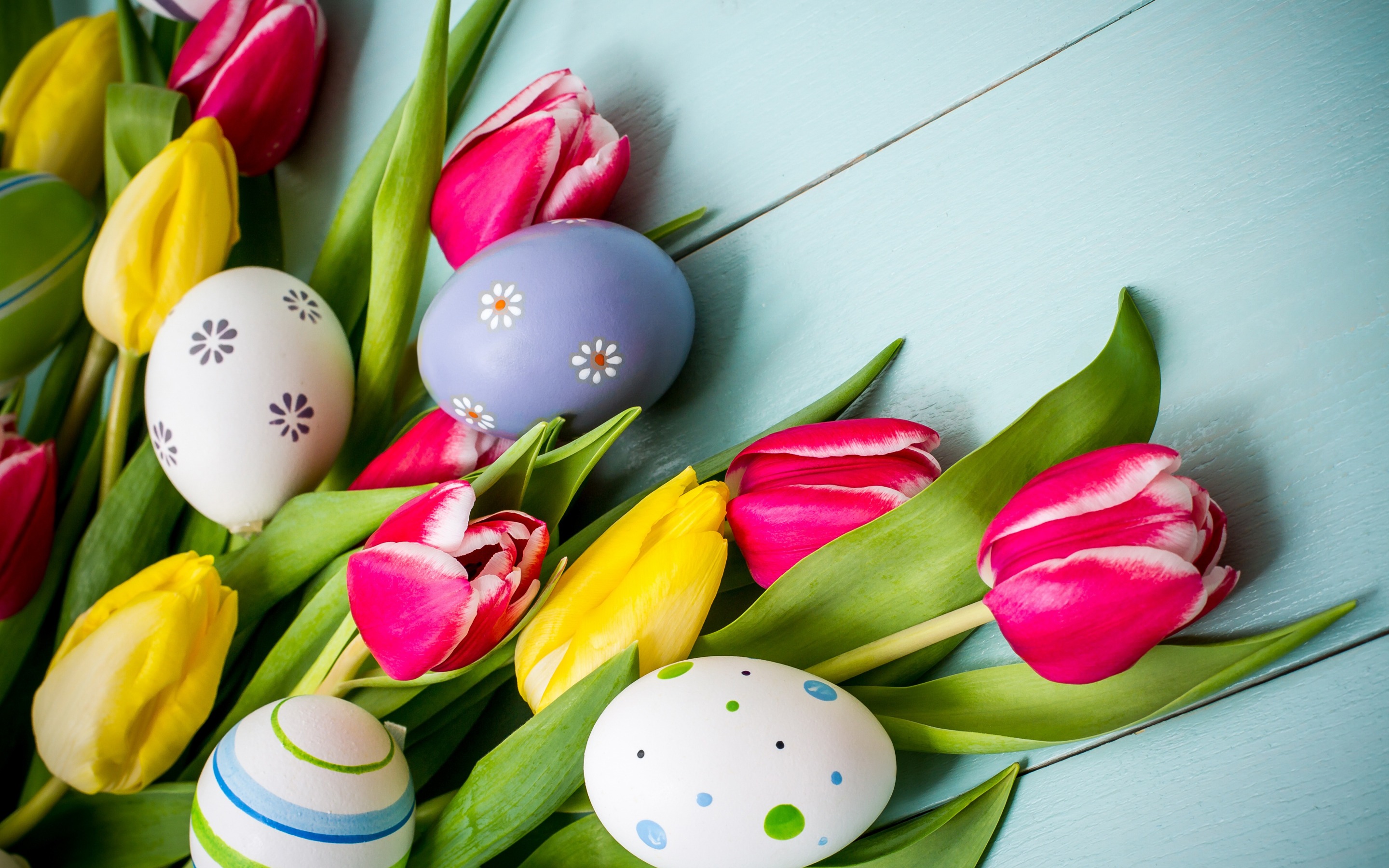 Lataa kuva Pääsiäinen, tulppaanit, kevään kukat, maalatut munat, sininen  levyt, pääsiäinen koristeluun näytön resoluutio 2880x1800. Taustakuvat  työpöydälle