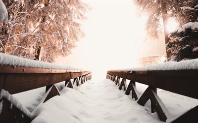 winter landscape, evening, snow-covered bridge, snow, snowdrifts, forest