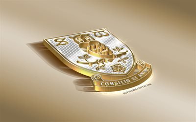Sheffield wednesday FC, club de football anglais, golden logo en argent, Sheffield, en Angleterre, EFL Championnat, 3d embl&#232;me dor&#233;, cr&#233;atif, art 3d, football