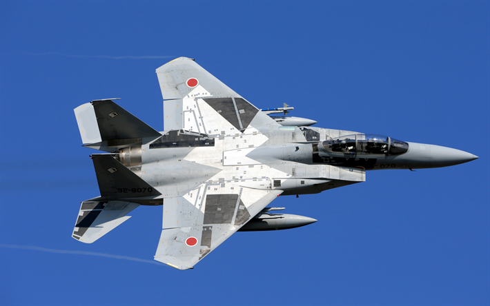 Mitsubishi F-15 J, caza Japon&#233;s, Jap&#243;n Aire Auto Fuerza de Defensa, JASDF, F-15DJ, Mitsubishi Heavy Industries, F-15 Eagle, McDonnell Douglas