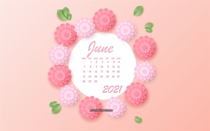 juni 2021 kalender, 4k, rosa blumen, juni 2021 sommerkalender, 3d papier rosa blumen, 2021 juni kalender