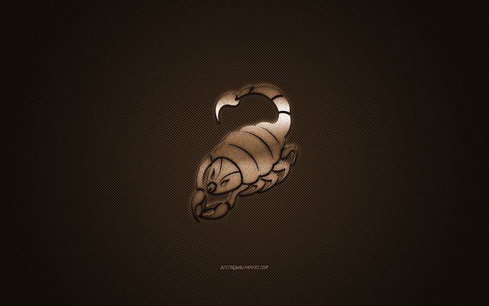 Download wallpapers Scorpio zodiac sign, metallic signs of the zodiac,  Scorpio, brown carbon background, Scorpio Horoscope sign, Scorpio zodiac  symbol for desktop free. Pictures for desktop free