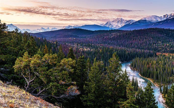 Parc national Jasper, 4k, paysages du soir, automne, montagnes, Alberta, Canada, for&#234;t, belle nature
