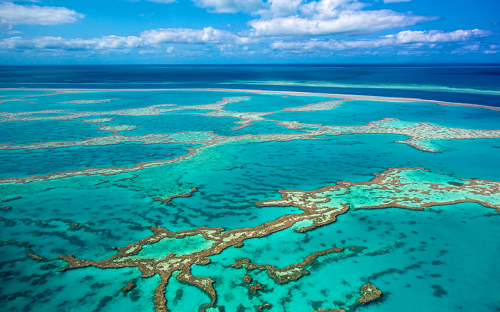 Great Barrier Reef, 4k, Coral Sea, Whitsunday Island, Australia