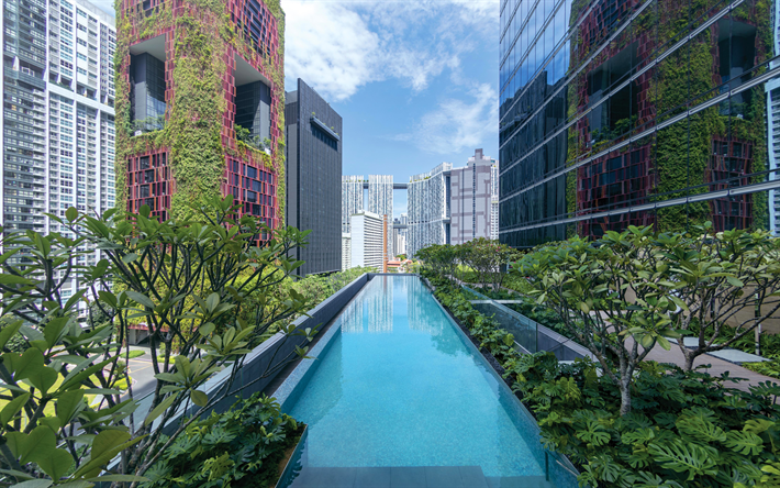 Sofitel Singapore Centrum, 4k, pool, CBD, Singapore, Asien
