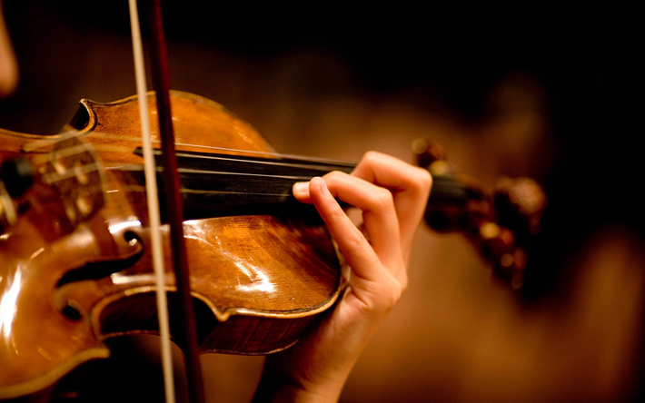 fiol, musikinstrument, spela violin, tr&#228;-violin