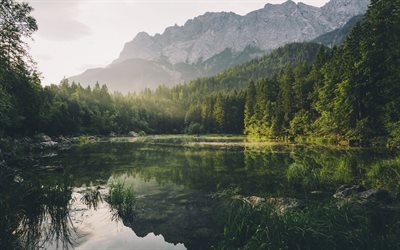 mountain lake, forest, mountains, green trees, sunset