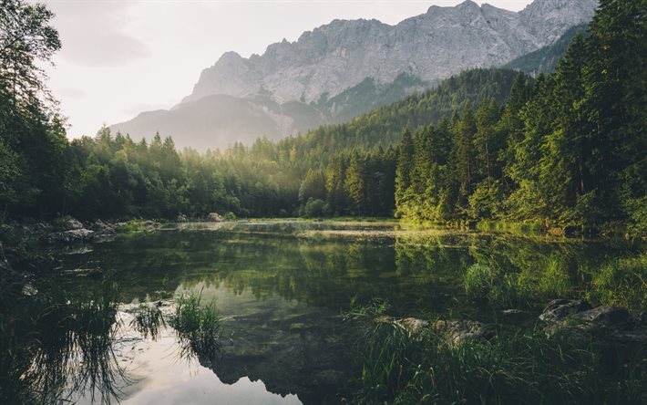 mountain lake, forest, mountains, green trees, sunset