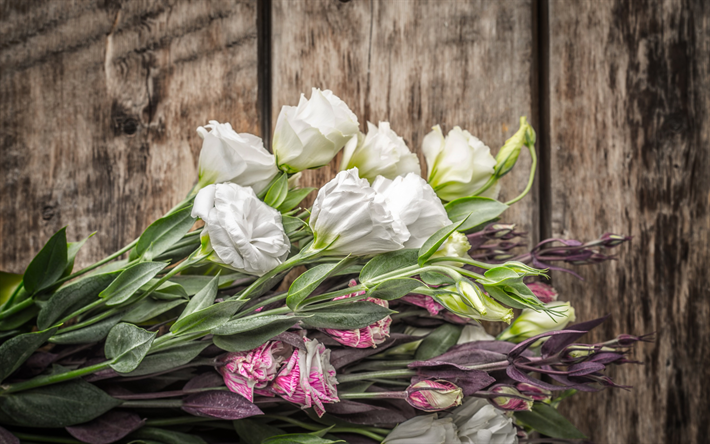 blanco eustoma, hermosas flores, de color rosa eustoma, rama con flores