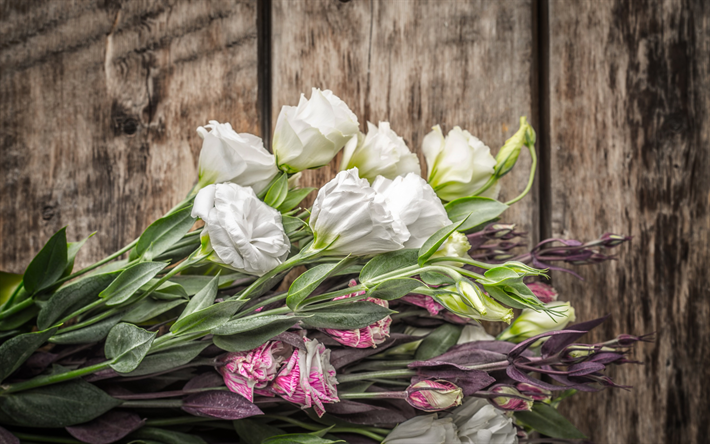 white eustoma, beautiful flowers, pink eustoma, branch with flowers