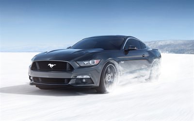 Ford Mustang, 2018, gray sports coupe, winter driving, snow riding, sports car, USA, Ford