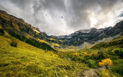 Hilterfingen, mountain landscape, green mountain slope, forest, Bern, Thun, Switzerland