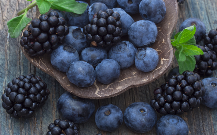 blueberries, blackberries, macro, forest berries