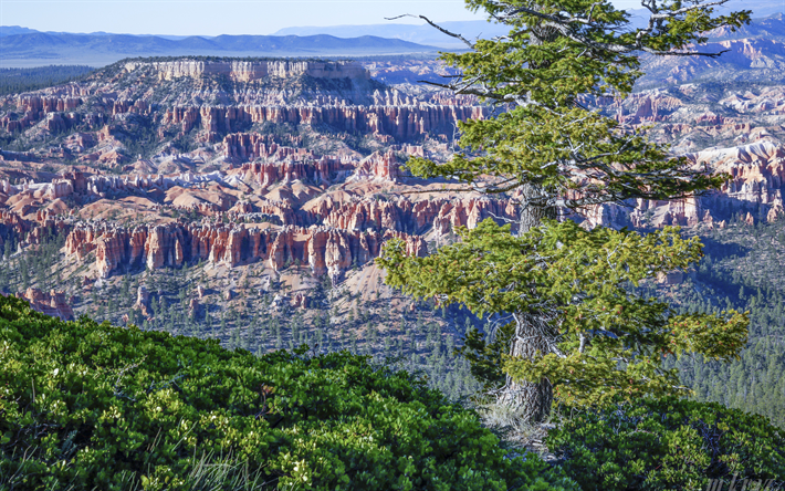 America, cliffs, mountains, Bryce Canyon National Park, Utah, USA