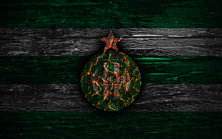 Saint-Etienne FC, fire logo, Ligue 1, green and white lines, french football club, grunge, football, soccer, logo, AS Saint-Etienne, wooden texture, France